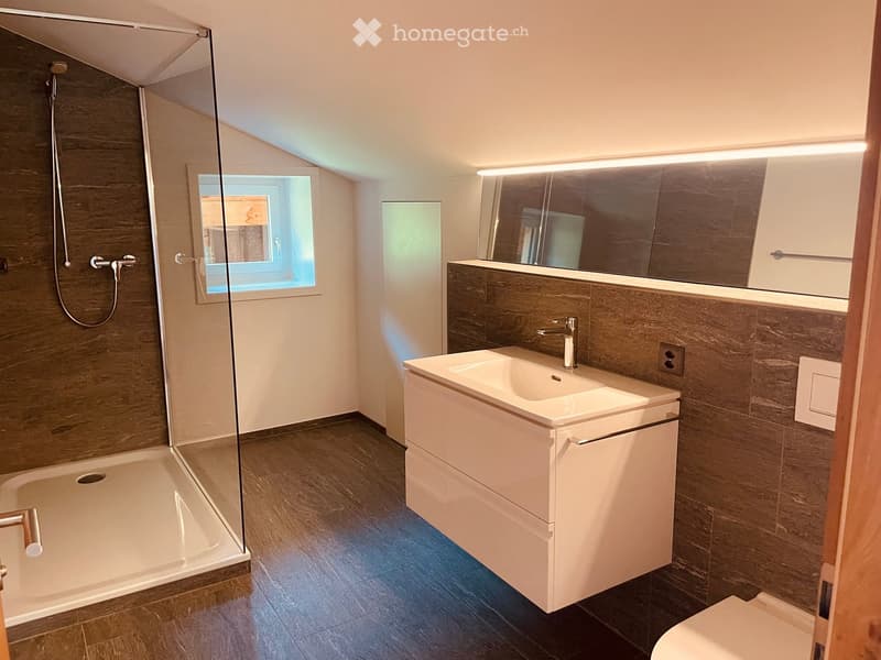 Modern bathroom with a white sink, mirror, toilet, and a glass-enclosed shower area. The walls are tiled in a dark grey color, and the floor is covered with dark tiles.