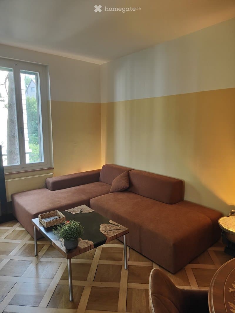 Living room with a brown sectional sofa, a black coffee table with a potted plant, a wicker basket, and a side table with a lamp.