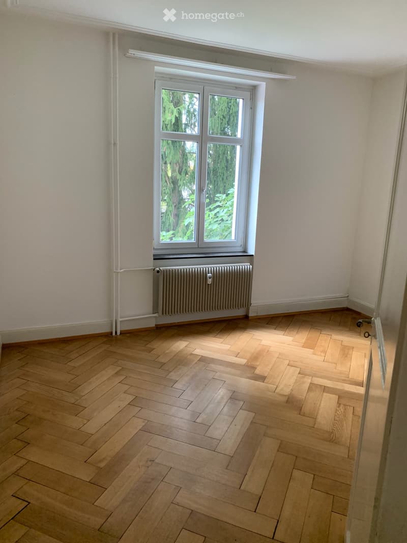 Apartment in Binningen (4)