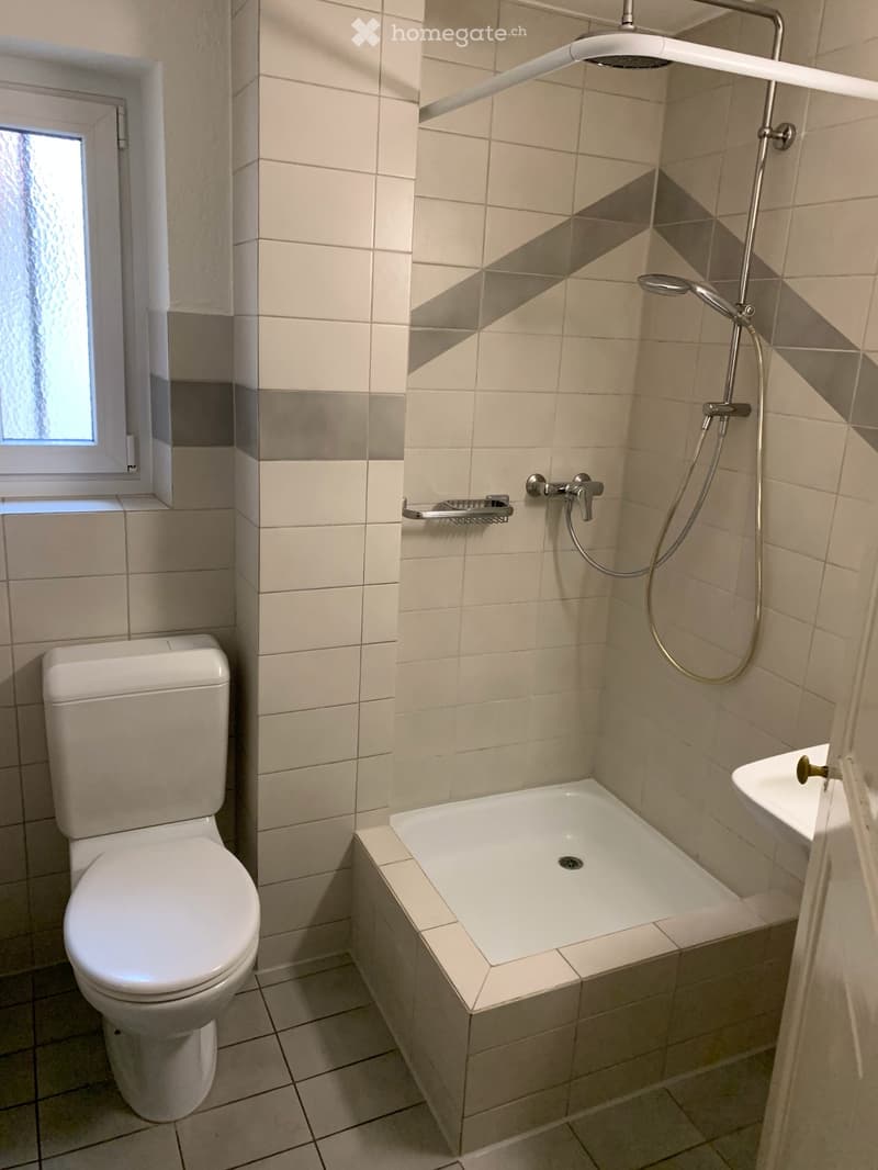 Apartment in Binningen (2)