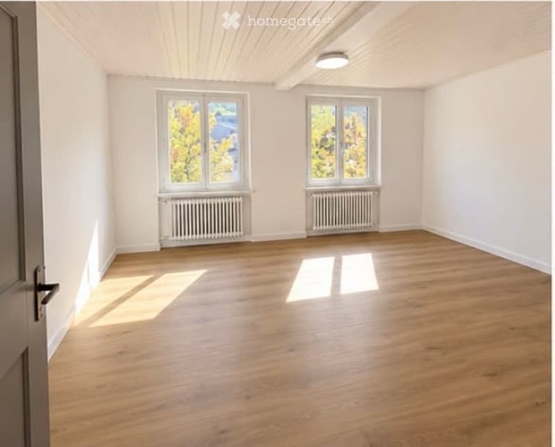 Empty room with wooden flooring, white walls, two windows with white frames, radiators, and a ceiling light fixture.