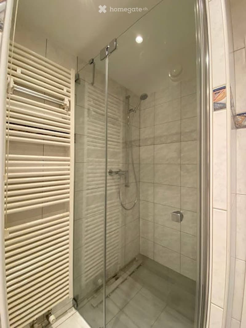 Modern bathroom with a glass-enclosed shower, a towel rack, and tiled walls and floor.