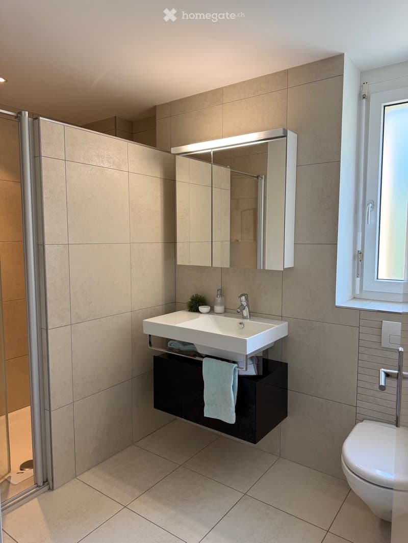 Modern bathroom with a white sink, mirrored cabinet, dark wooden cabinet, and a glass-enclosed shower area.