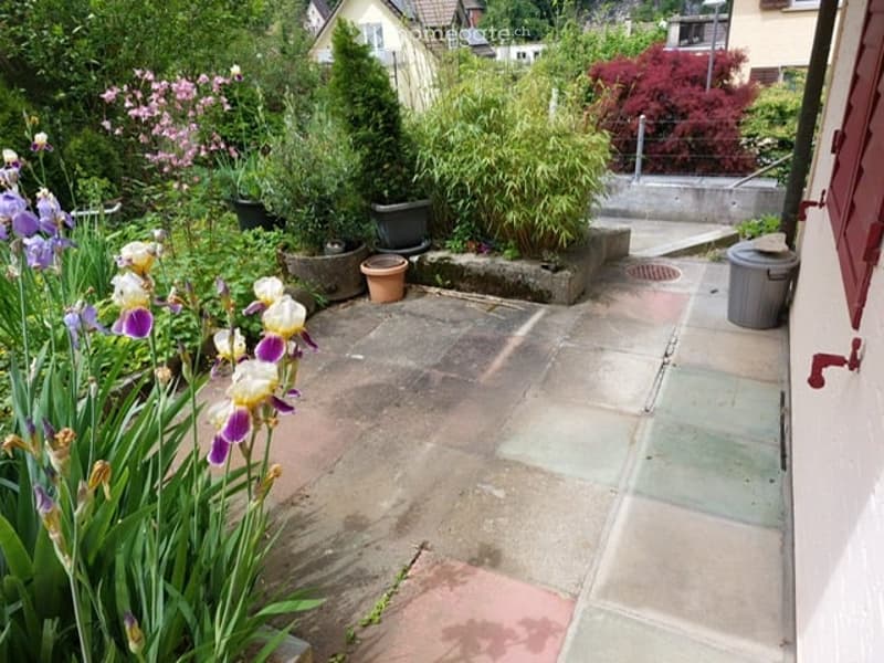 Garden area with paved stone patio, various plants and flowers, including irises, and a small staircase leading to another level.