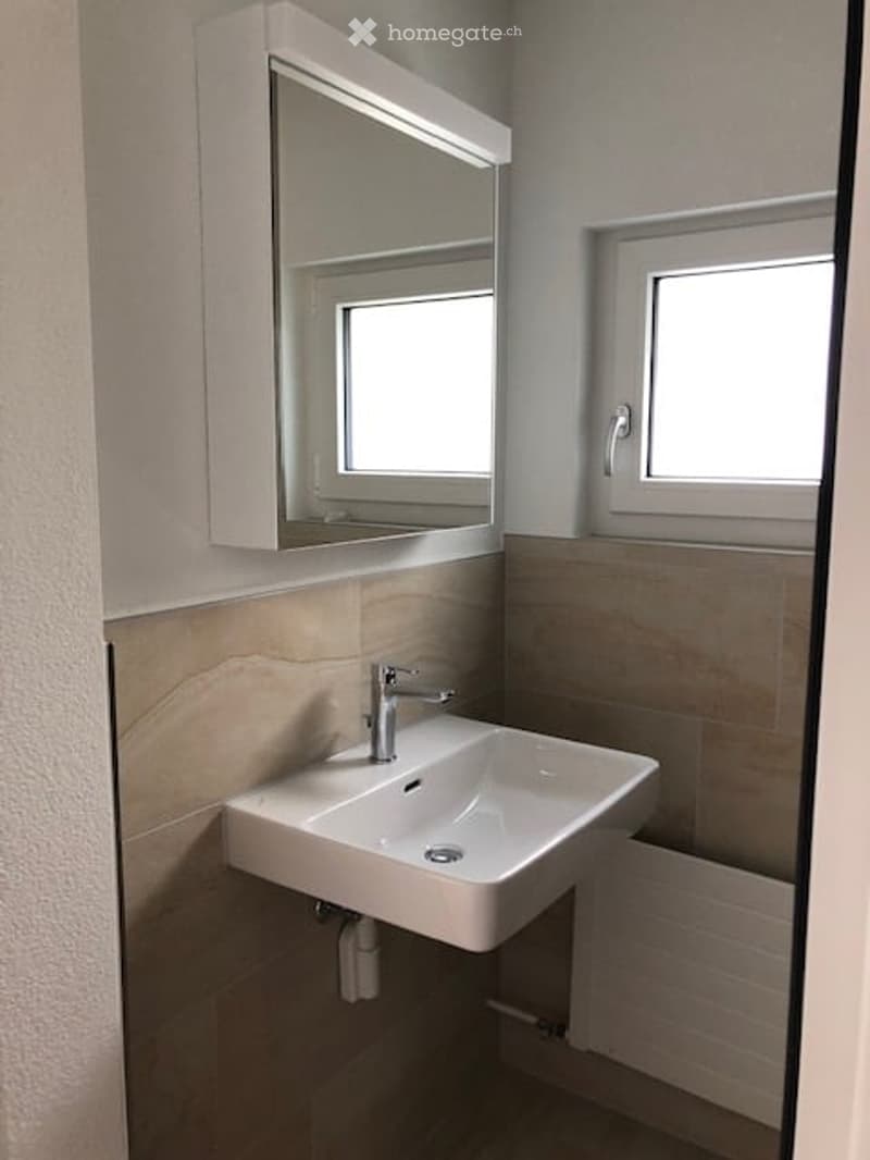 Modern bathroom with a white sink, mirror cabinet, and two windows providing natural light.