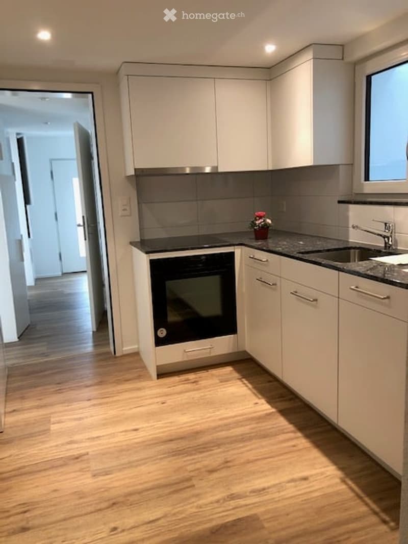 Modern kitchen with white cabinets, stainless steel sink, and black oven. Features a small flower pot on the counter and recessed lighting.