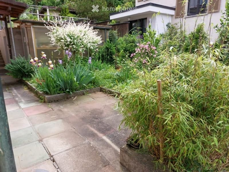 Garden area with a paved pathway, various plants, and flowers, including irises and bamboo, surrounded by wooden fencing and neighboring buildings.