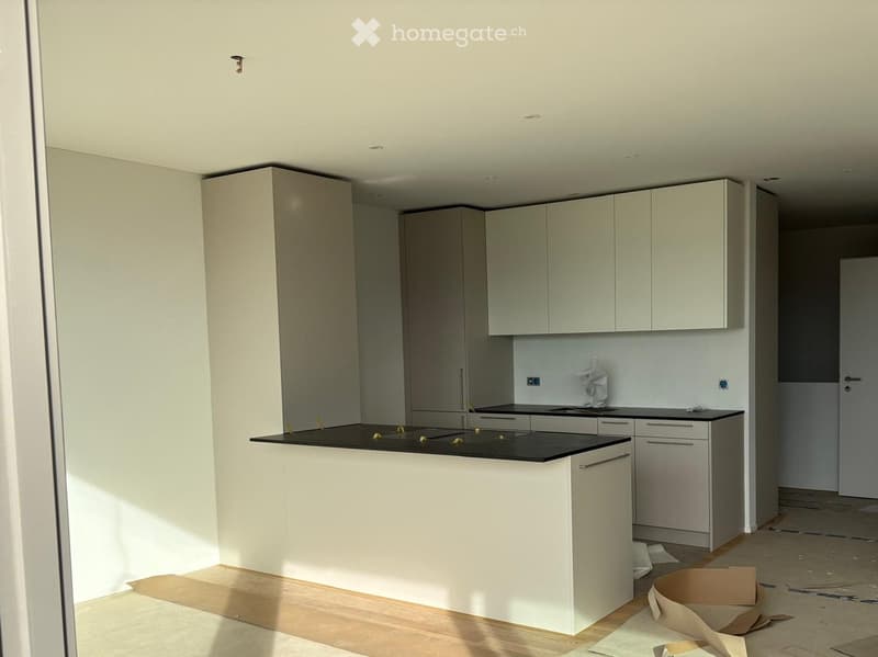 Modern kitchen with white cabinets, black countertop, and wooden flooring. Some construction materials and boxes are visible on the floor.