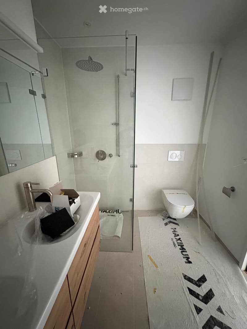 Modern bathroom with a glass-enclosed shower, a white toilet, a wooden vanity with a sink and faucet, and a mirror on the wall.