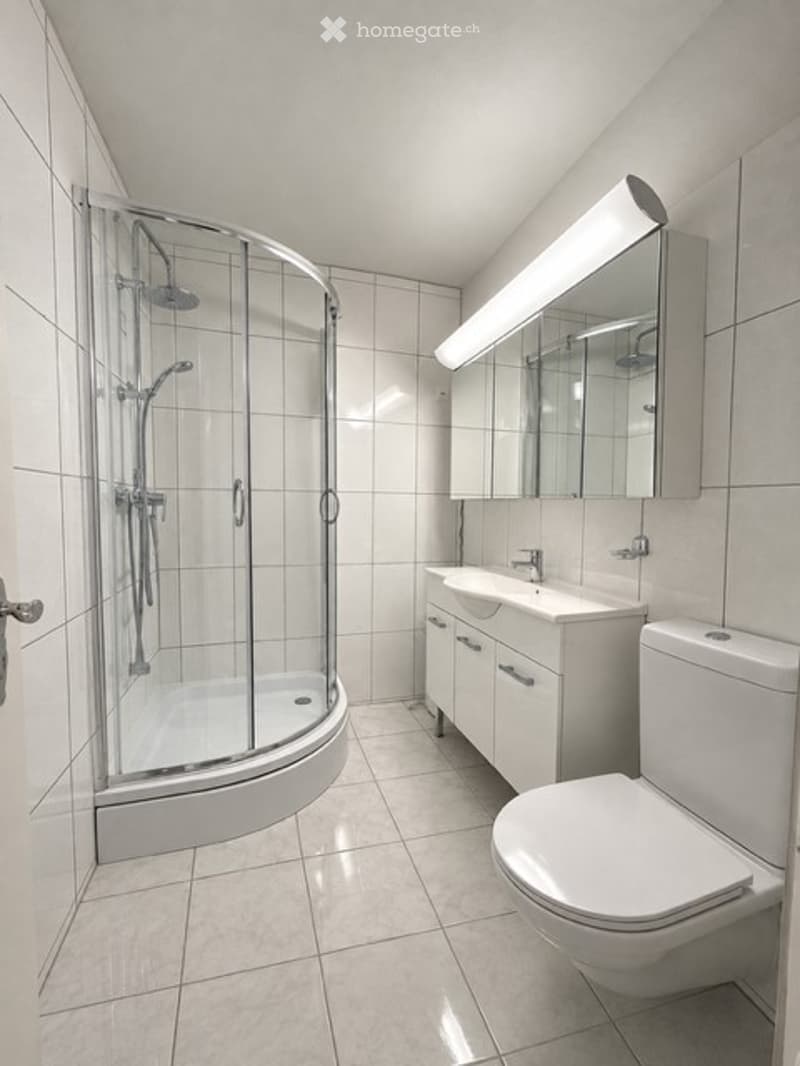 Modern bathroom with white tiles, a glass-enclosed shower stall, a toilet, a sink with a mirror, and a sleek light fixture above the mirror.