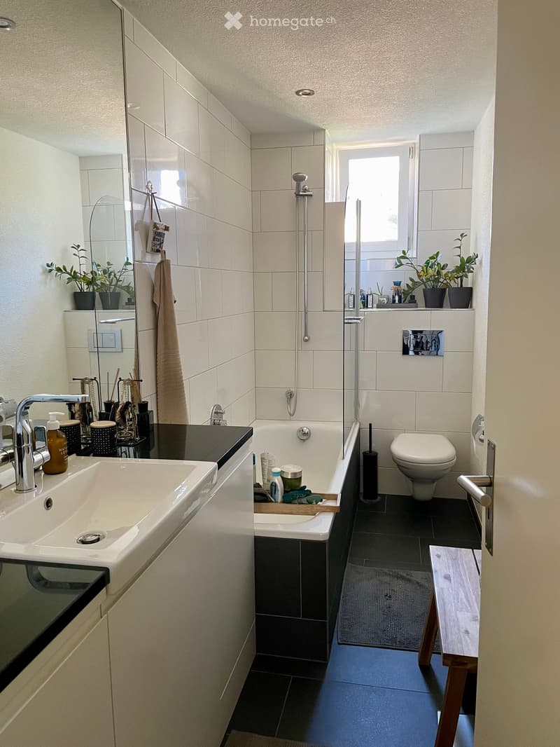 Modern bathroom with white tiles, a large sink, bathtub, toilet, shower, and small plants on shelves.