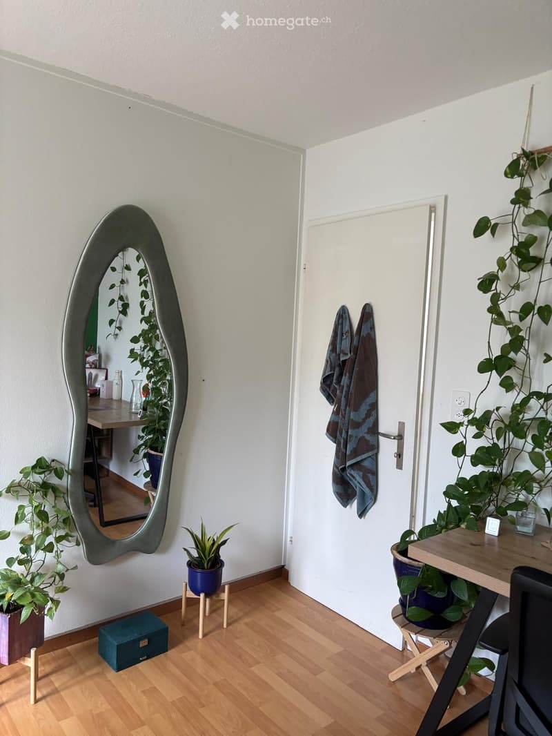 A small, well-lit hallway with a large, curved mirror on one wall, a wooden table with a plant, and a closed door with towels hanging on it. The floor is light wooden, and there are several small potted plants and a teal box visible.