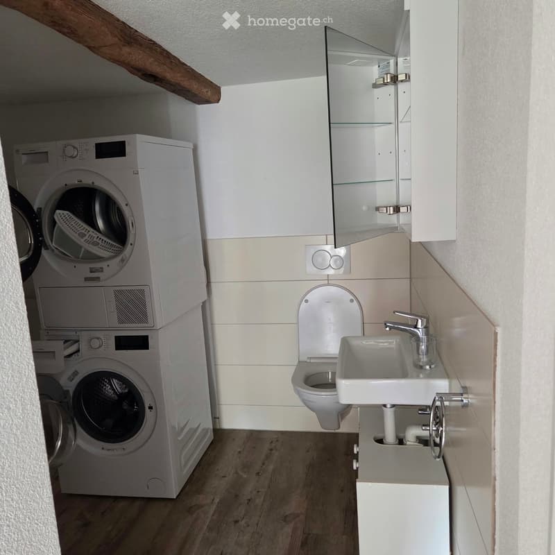 Compact bathroom with a toilet, sink, washing machine, and mirrored cabinet.