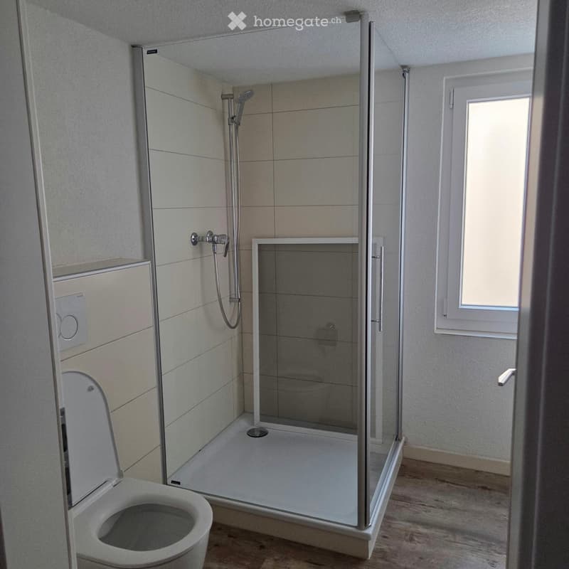 Modern bathroom with a toilet, glass-enclosed shower, and a window providing natural light.
