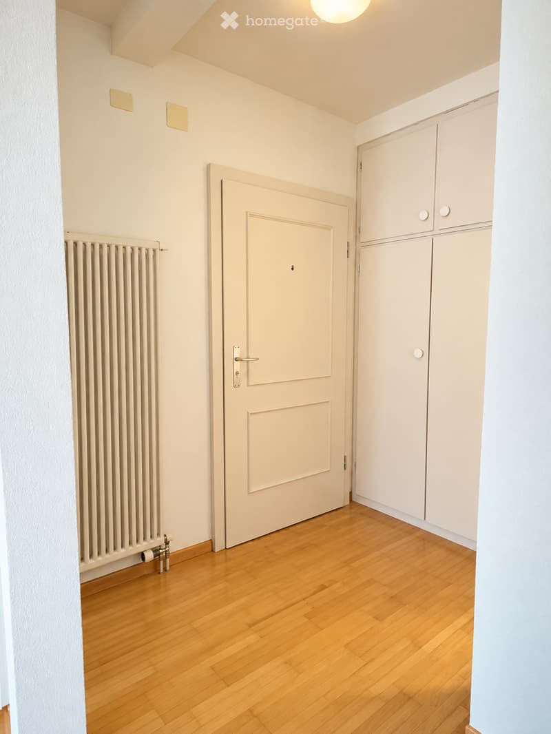 A narrow hallway with wooden flooring, white walls, a closed door, and built-in cabinets.