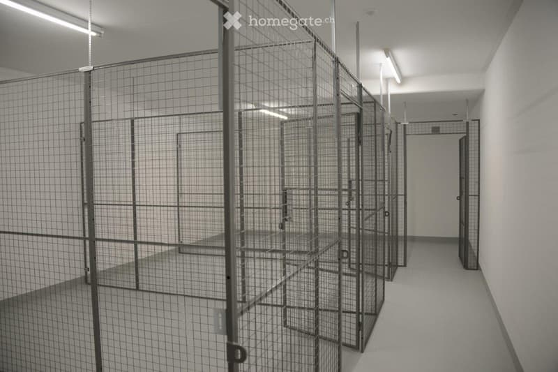 A long, narrow corridor with multiple secure, metal-caged enclosures lining both sides, featuring a smooth concrete floor and white walls.