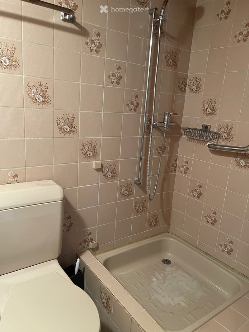 Bathroom with beige tiled walls featuring floral designs, a toilet, a bathtub with a showerhead, and a shower rack.