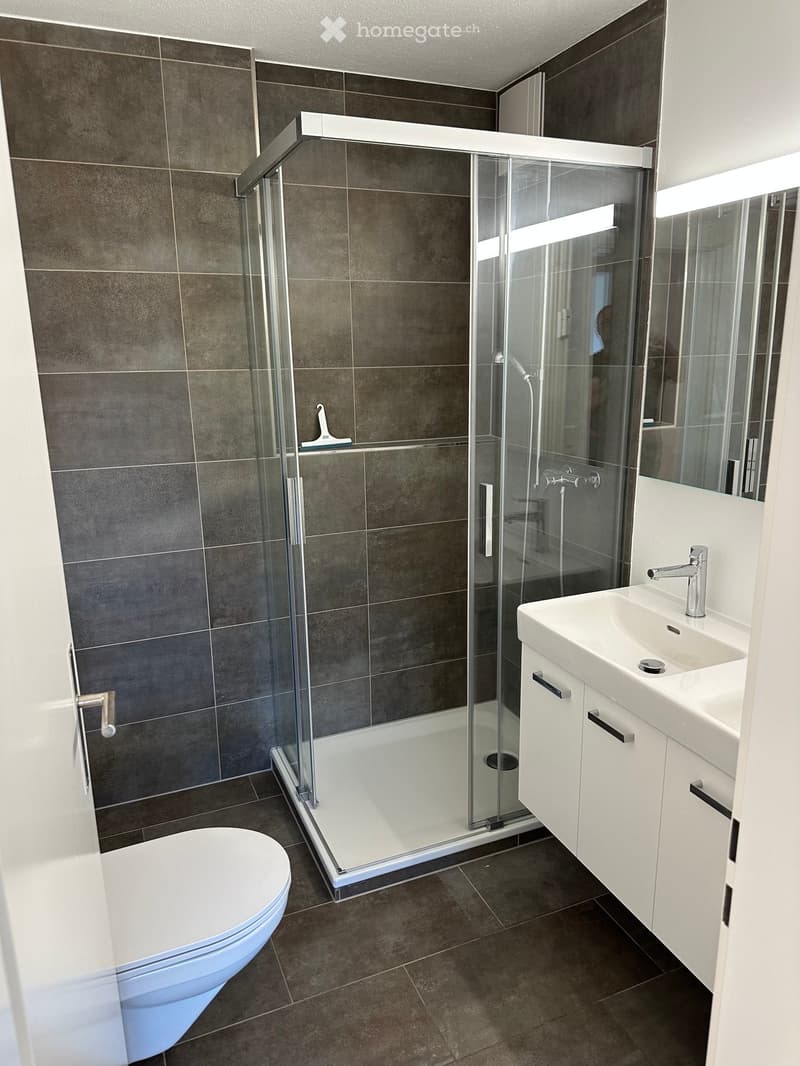 Modern bathroom with a glass-enclosed shower, white toilet, white sink with chrome faucet, and mirrored cabinet.