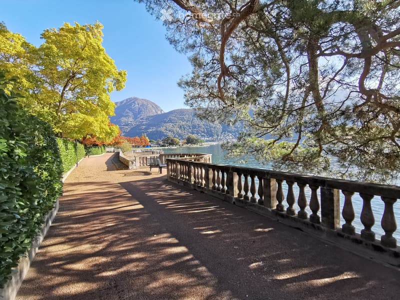 Pedestrian path surrounded by trees, leading to a lake with mountains in the background.