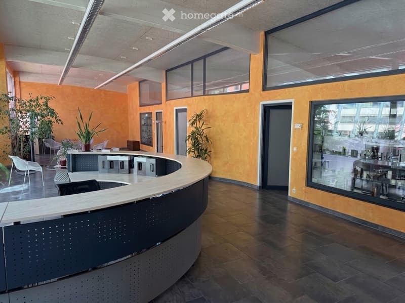Modern office space with a curved reception desk, several chairs, potted plants, and large windows providing natural light.