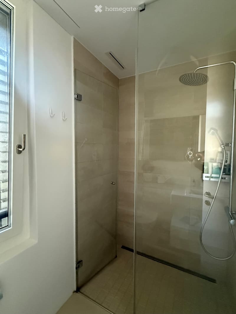 Modern bathroom with a glass-enclosed shower, a handheld showerhead, a faucet, and a white cabinet with hooks.