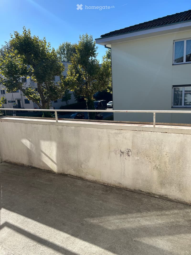 Concrete balcony with metal railing, overlooking a residential area with trees and parked cars.