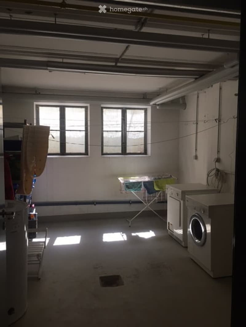 Laundry room with washing machine, ironing board, and laundry basket. Natural light from two windows.