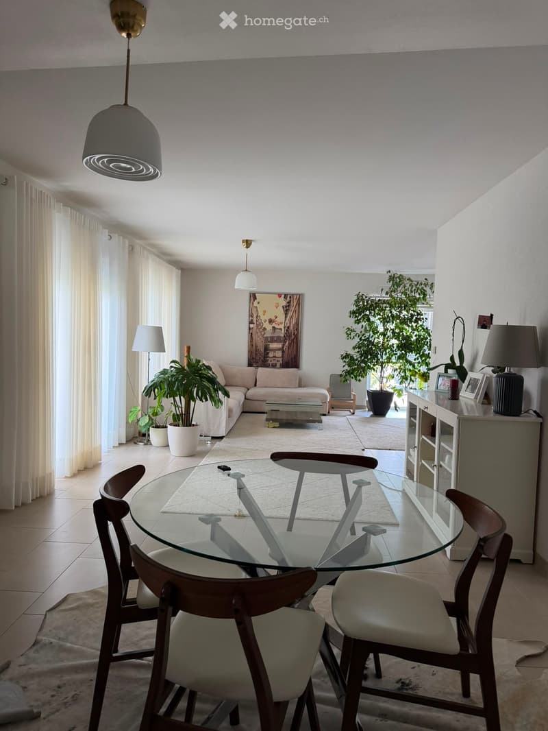 Bright living and dining area with a sofa, coffee table, glass dining table with chairs, floor lamp, table lamp, potted plants, and a cabinet with picture frames.