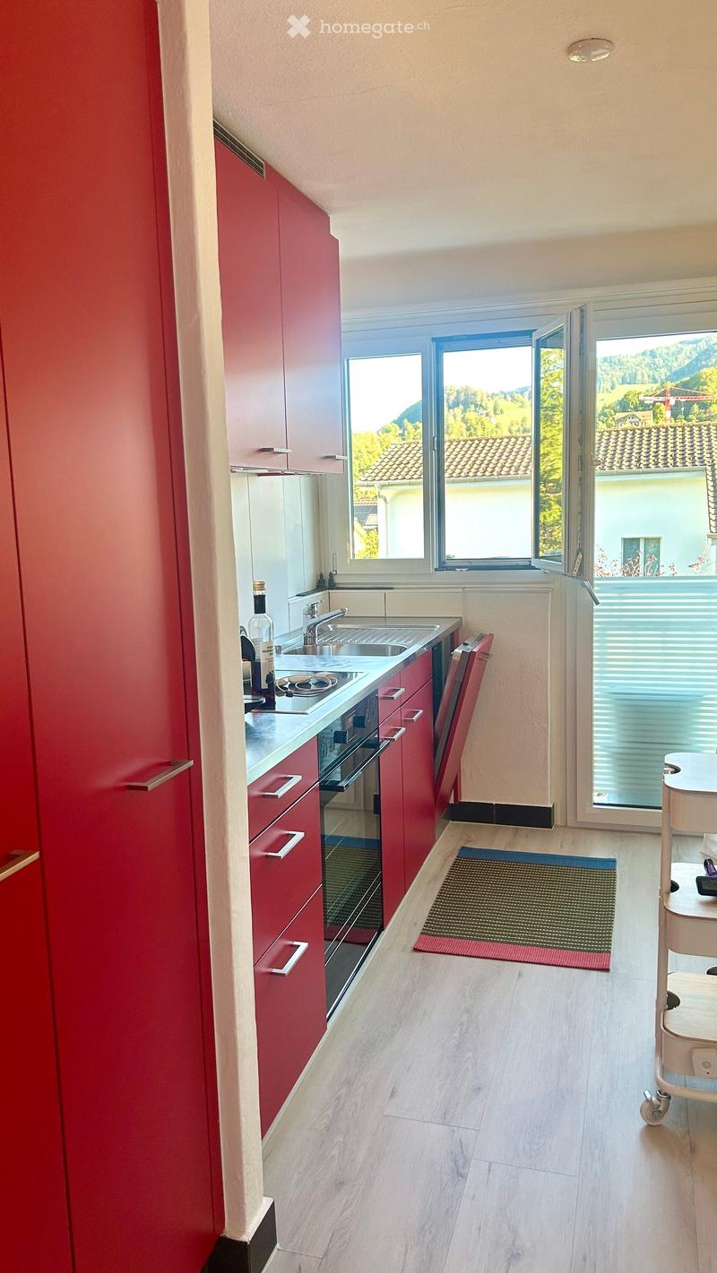 Modern kitchen with red cabinets, stainless steel sink, oven, and a bottle on the counter. Large windows offer a scenic view of the surrounding landscape.