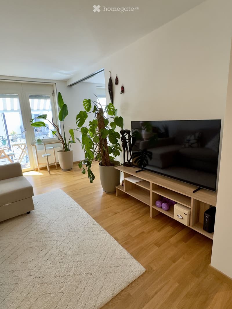 Modern living room with wooden flooring, white walls, a large television on a wooden stand, a sofa, a small table, and potted plants near the balcony entrance.