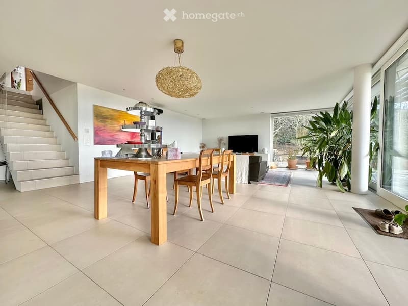 Bright, open-plan dining and living area with a wooden dining table, chairs, a TV, a sofa, a pendant light, artwork, and a large plant near the window.