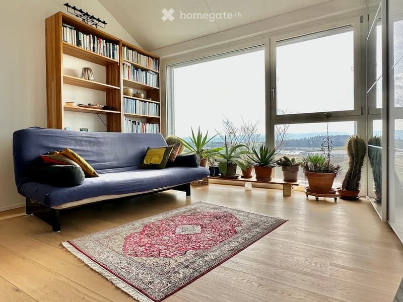 Bright living room with large windows offering a scenic view, featuring a blue futon sofa, a wooden bookshelf filled with books, a patterned rug, and several potted plants.