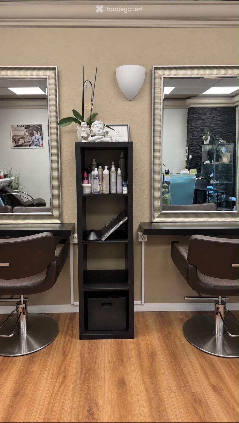 A well-organized salon area with two stylist chairs, a shelf holding hair products, a laptop, and decorative items including a plant and picture frame.