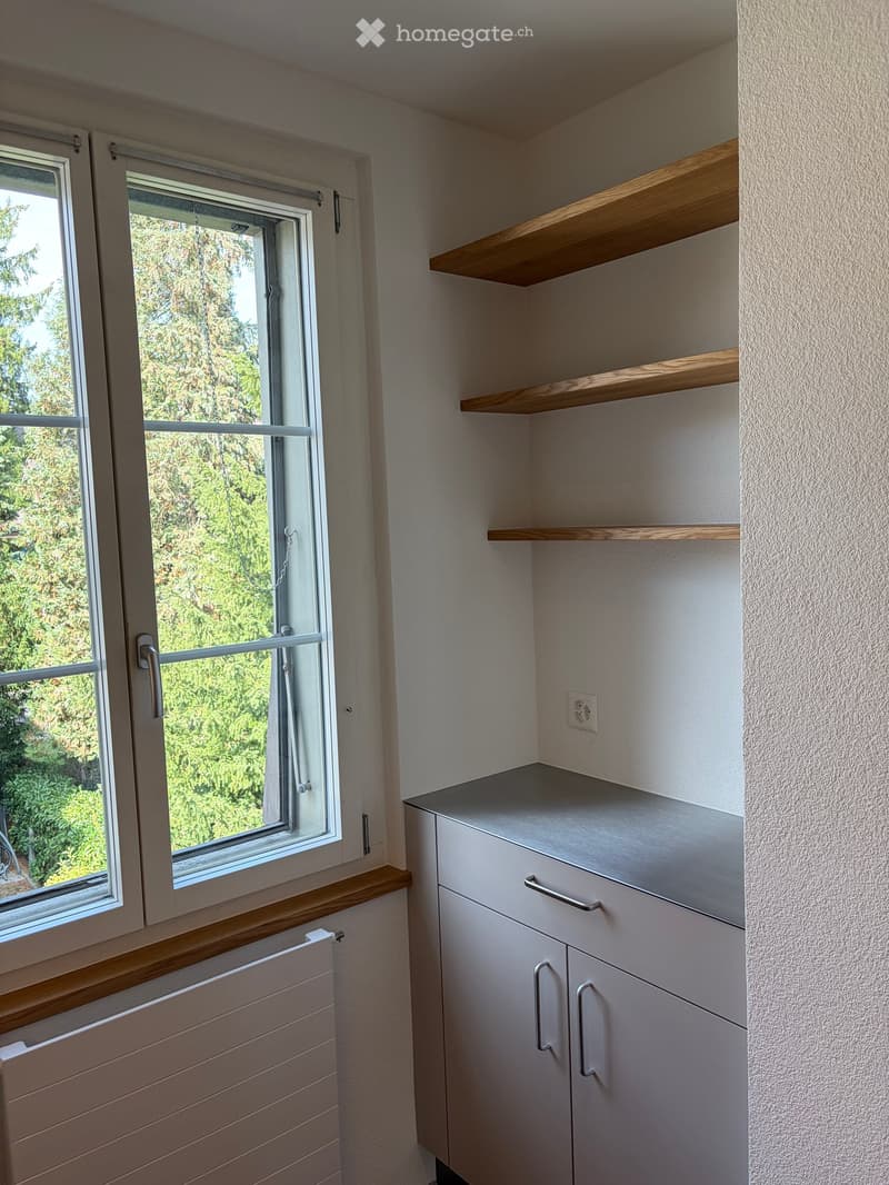 Empty room with white walls, wooden shelves, a window with a view of greenery, and a radiator below the window.