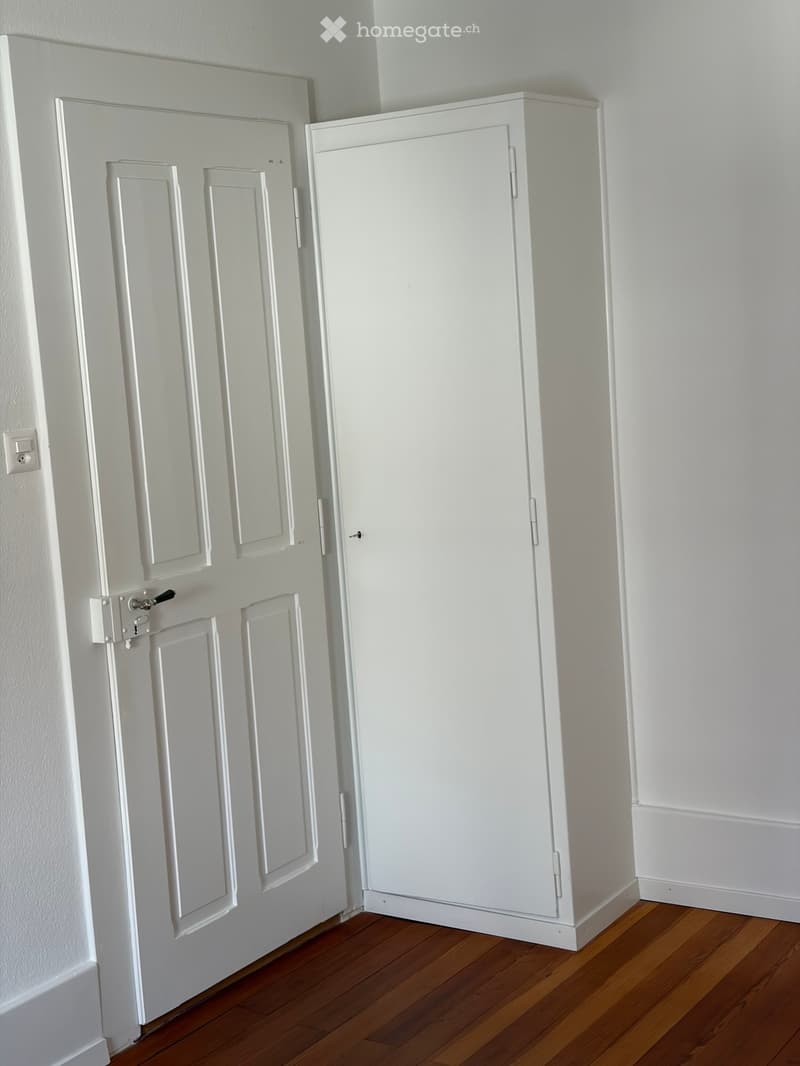Empty hallway with white walls, wooden floor, and a closed white door on the left side.