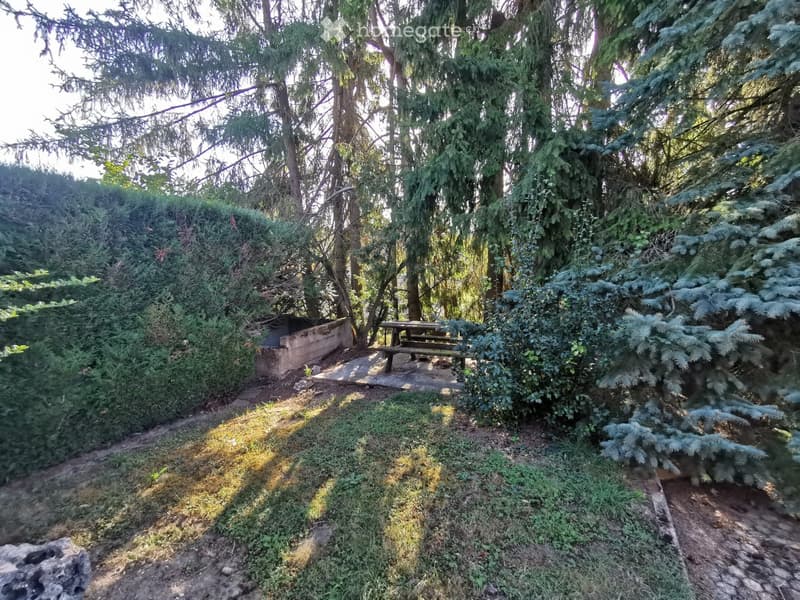 A serene garden area with a wooden picnic table, surrounded by tall trees and lush greenery, including shrubs and coniferous plants. The ground is covered with grass and dirt paths.