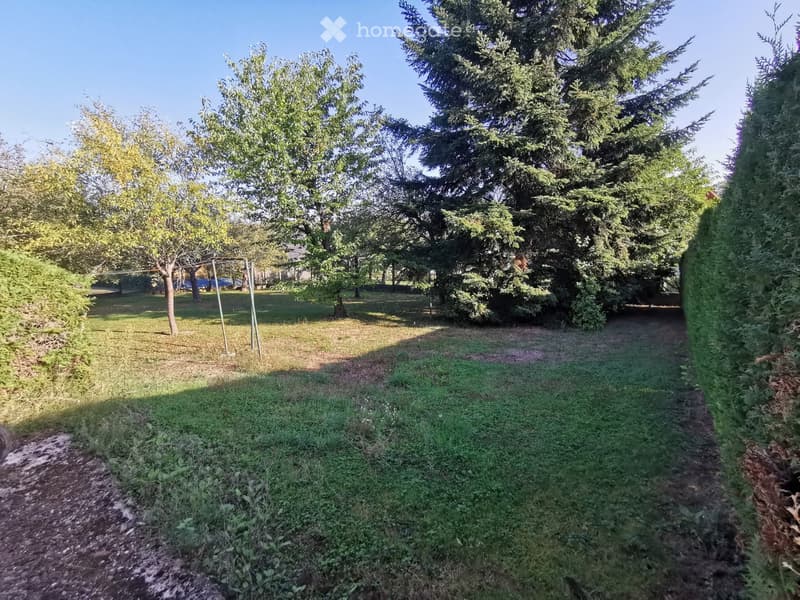 A grassy outdoor area with trees, a clothesline, and a pathway leading to a house in the background.