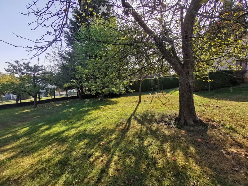 A grassy garden area with several trees, some bearing fruit, and a fence in the background. The ground is partially covered with grass and patches of bare soil.