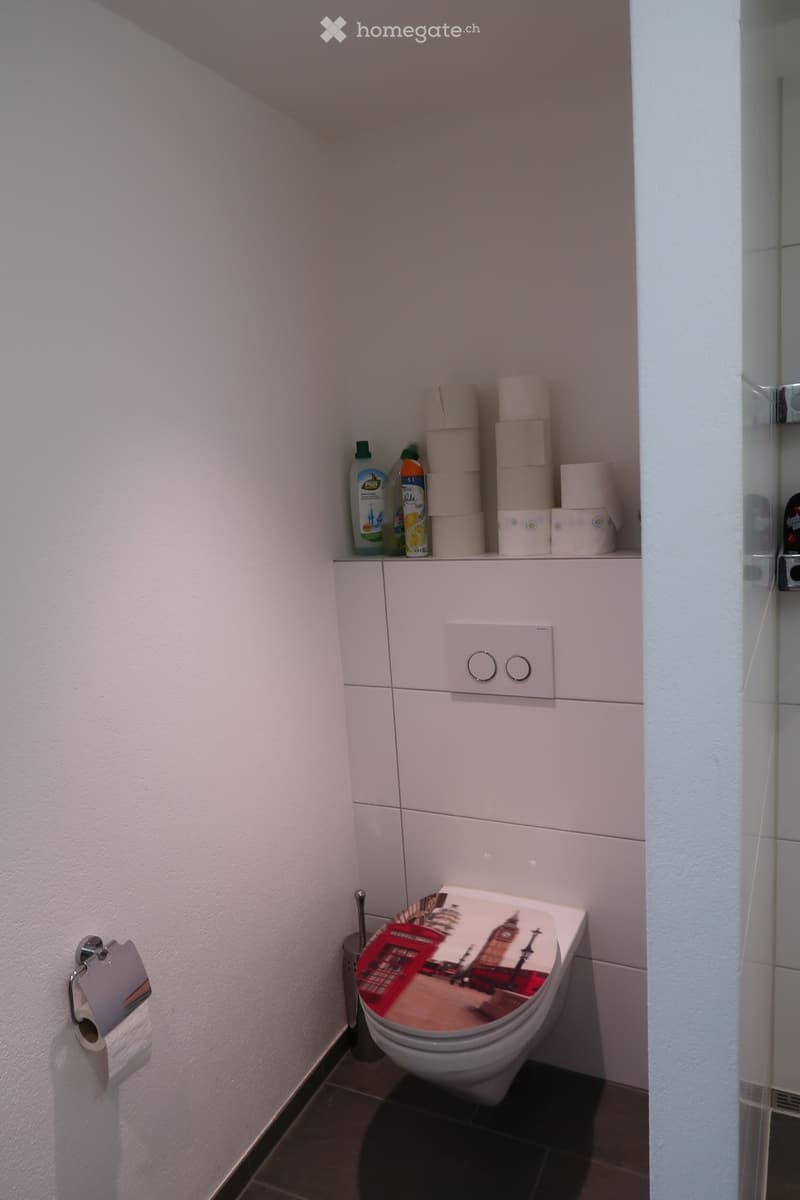 Modern bathroom with white tiled walls, a toilet with a decorative cover, a toilet paper holder, and a cabinet with cleaning supplies on top.