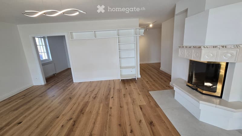Empty room with wooden flooring, white walls, built-in shelving unit, fireplace, and modern lighting fixture.
