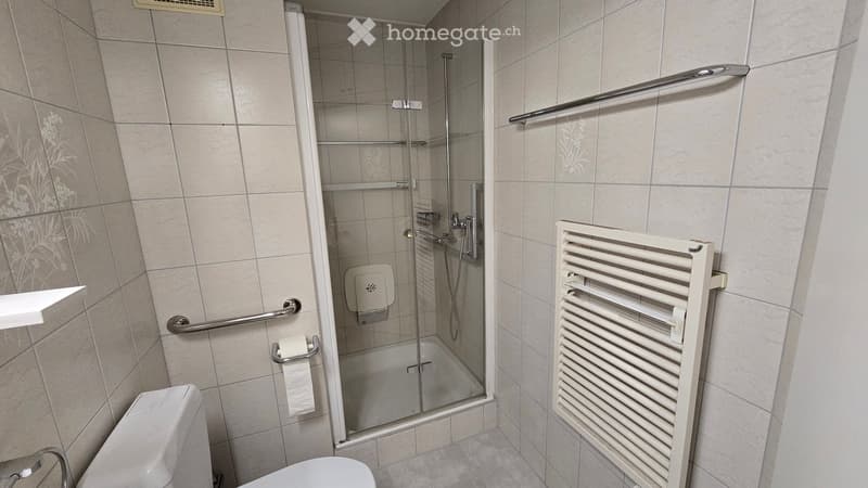 Modern bathroom with a walk-in shower, toilet, towel rack, radiator, and handrail for accessibility.