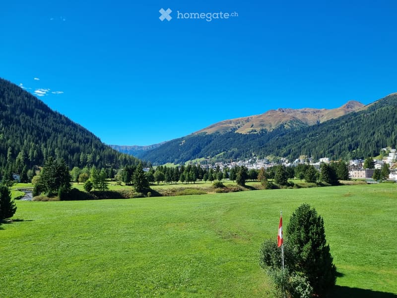 A wide, green meadow with scattered trees and a small stream, surrounded by forested hills and mountains. A Swiss flag is visible on a pole in the foreground.