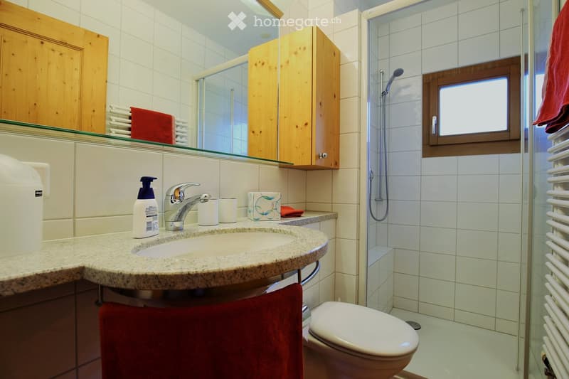 Modern bathroom with white tiles, granite countertop, sink, toilet, shower, and wooden cabinets.