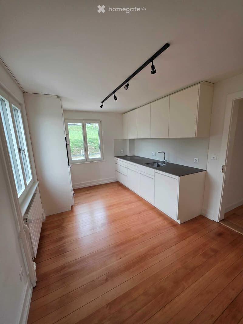 Empty kitchen with light wooden flooring, white cabinets, and a black countertop. The space features large windows and a track lighting system.