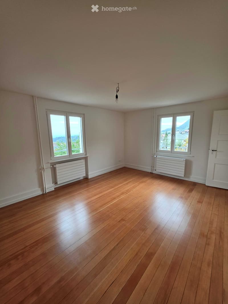 Empty room with wooden flooring, two windows, radiators, and a single light fixture on the ceiling.