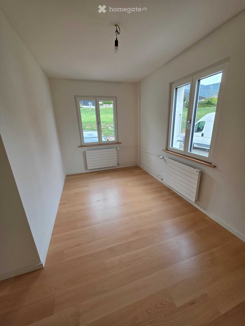 Empty room with wooden flooring, white walls, and two windows with radiators underneath. The ceiling has a sloped design with a single light fixture.