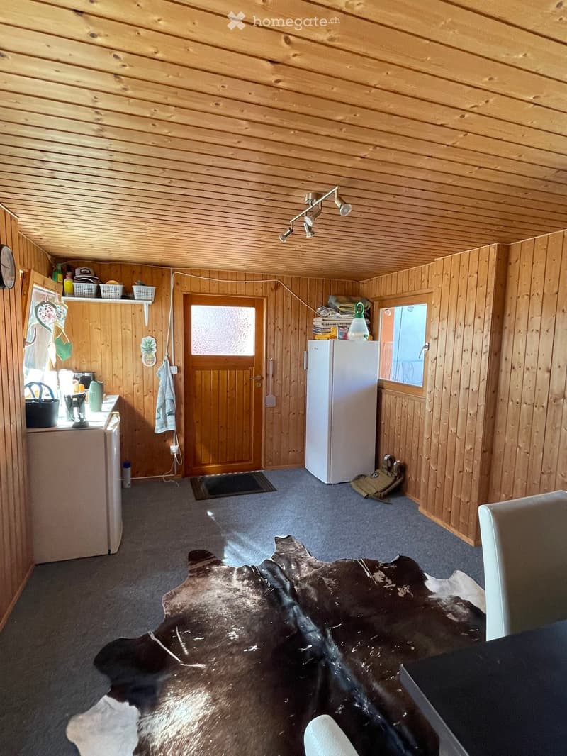 A cozy, wooden-paneled room with a refrigerator, microwave, cattle hide on the floor, and a door leading outside.