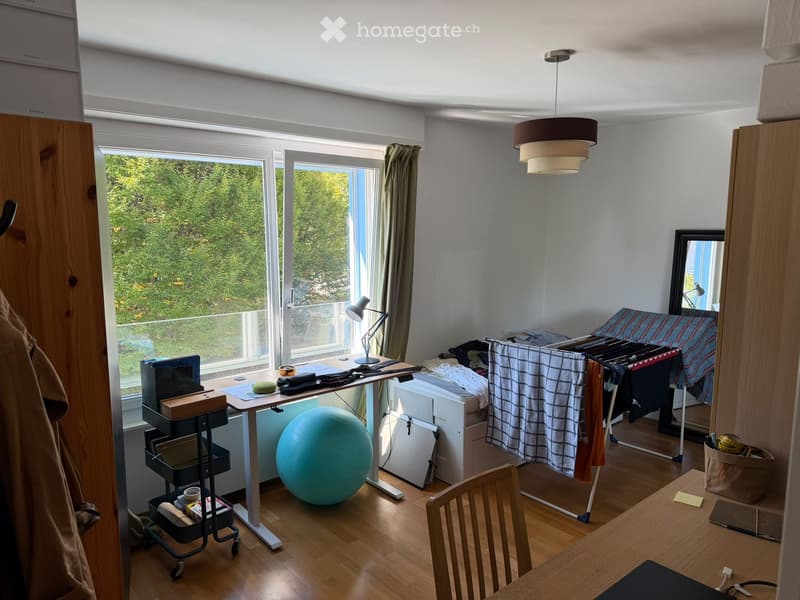 The room is furnished with a desk, chair, ball, mirror, lamp, and a drying rack with clothes. There is a large window with a view of greenery outside.