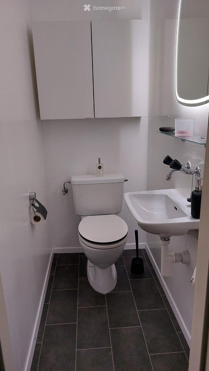 Modern bathroom with white toilet, sink, and dark tiled floor. Includes a toilet paper holder, toilet brush, mirror, and cabinet.
