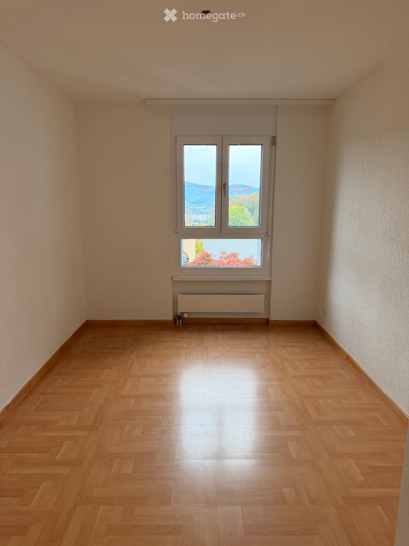 Empty room with wooden flooring, light-colored walls, and a large window offering a scenic view of a landscape with trees and a body of water.